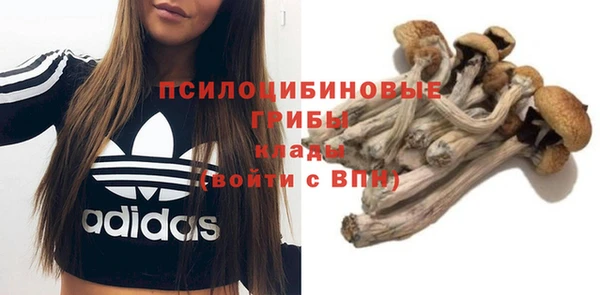 твердый Баксан